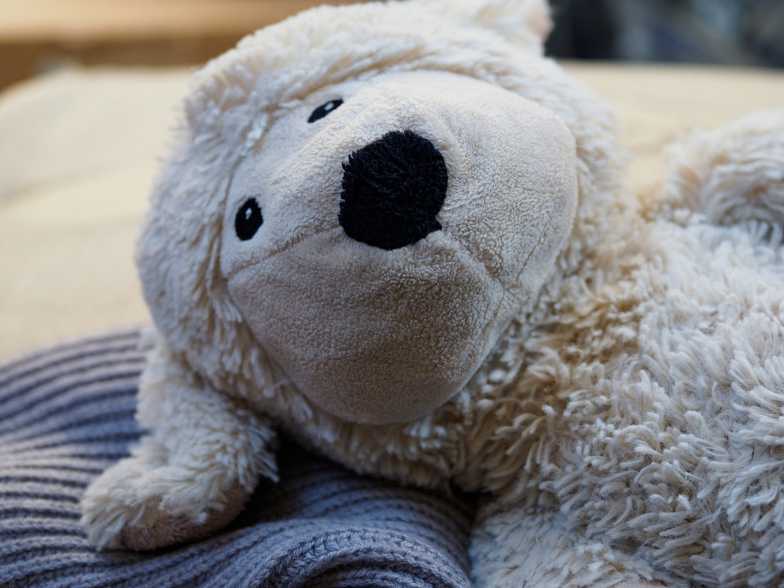 white bear plush toy on blue textile