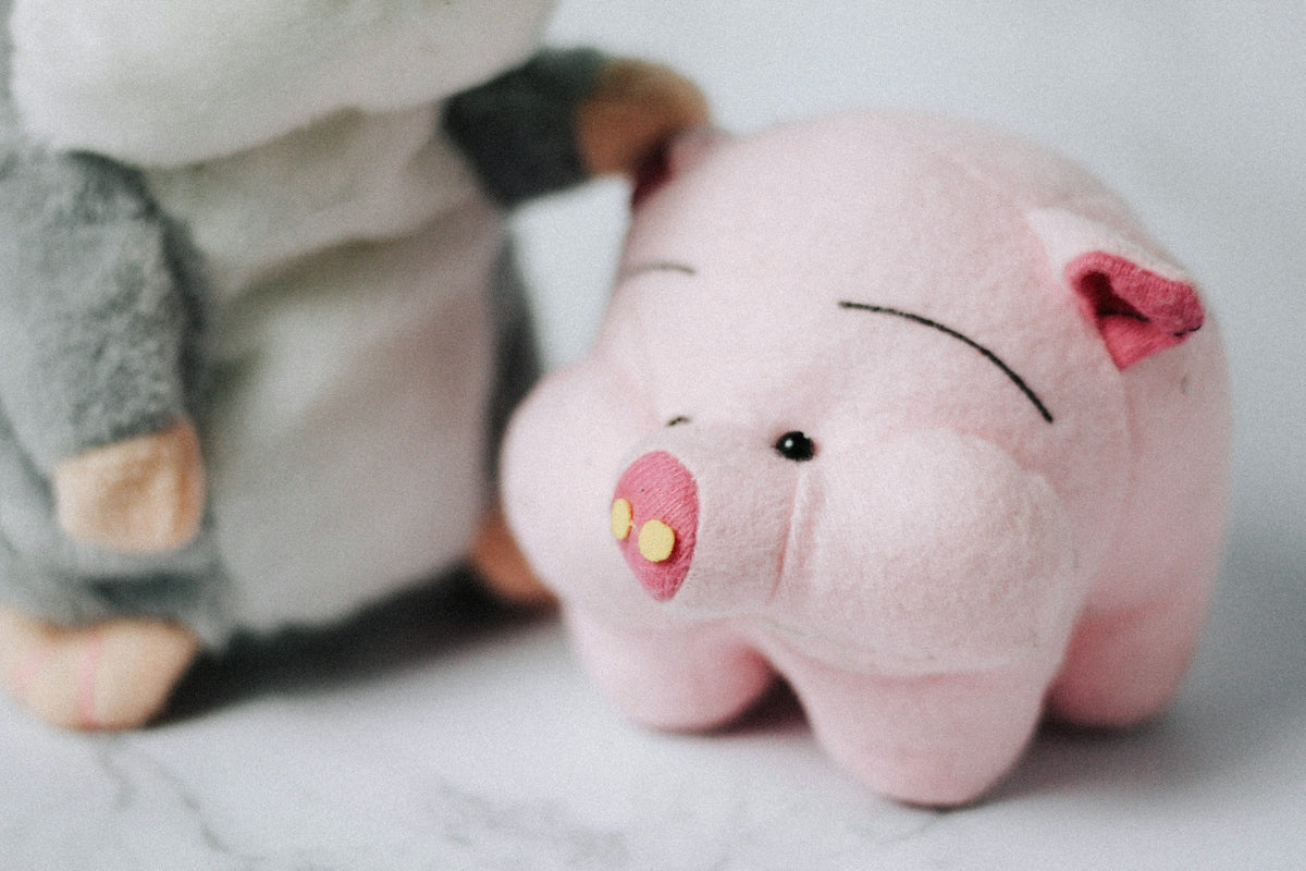 pink pig plush toy on white surface