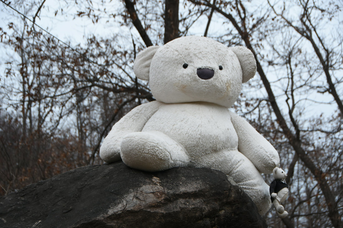 white bear plush toy on brown rock