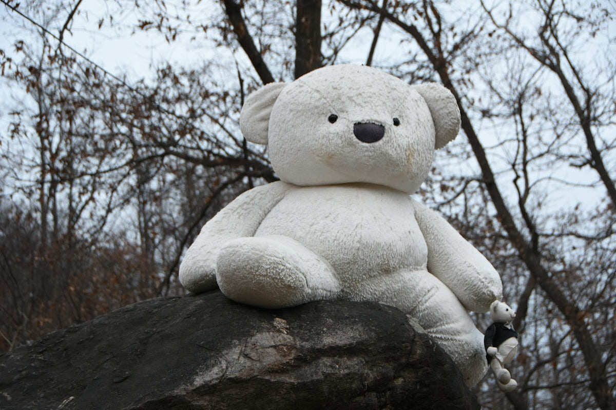 white bear plush toy on brown rock