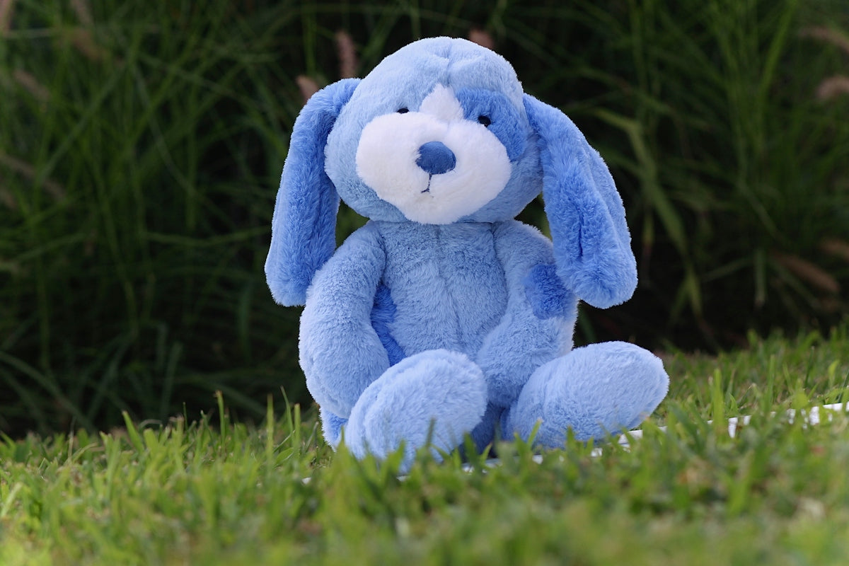 A blue stuffed dog sits in the grass