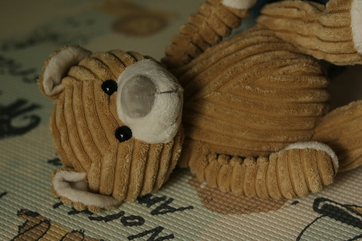 A close-up of a stuffed teddy bear lying down