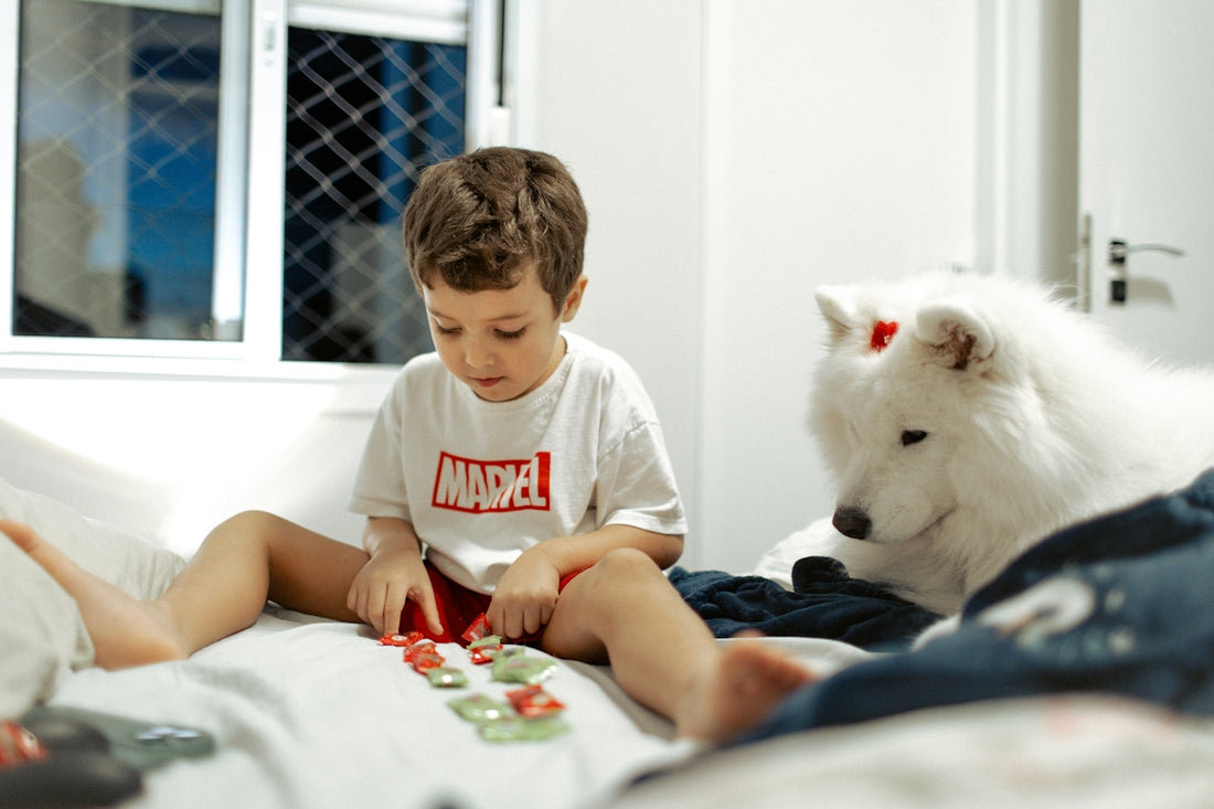 Young boy playing with toys next to fluffy white dog.